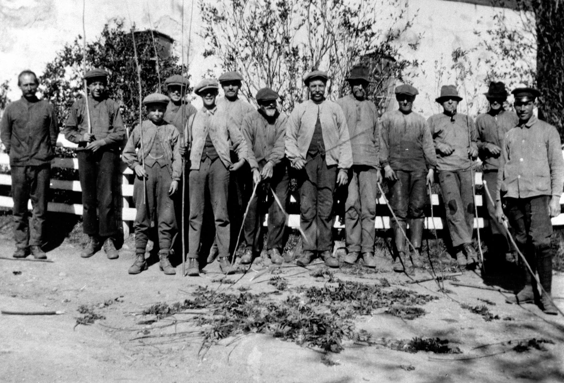 Workers in the farmyard