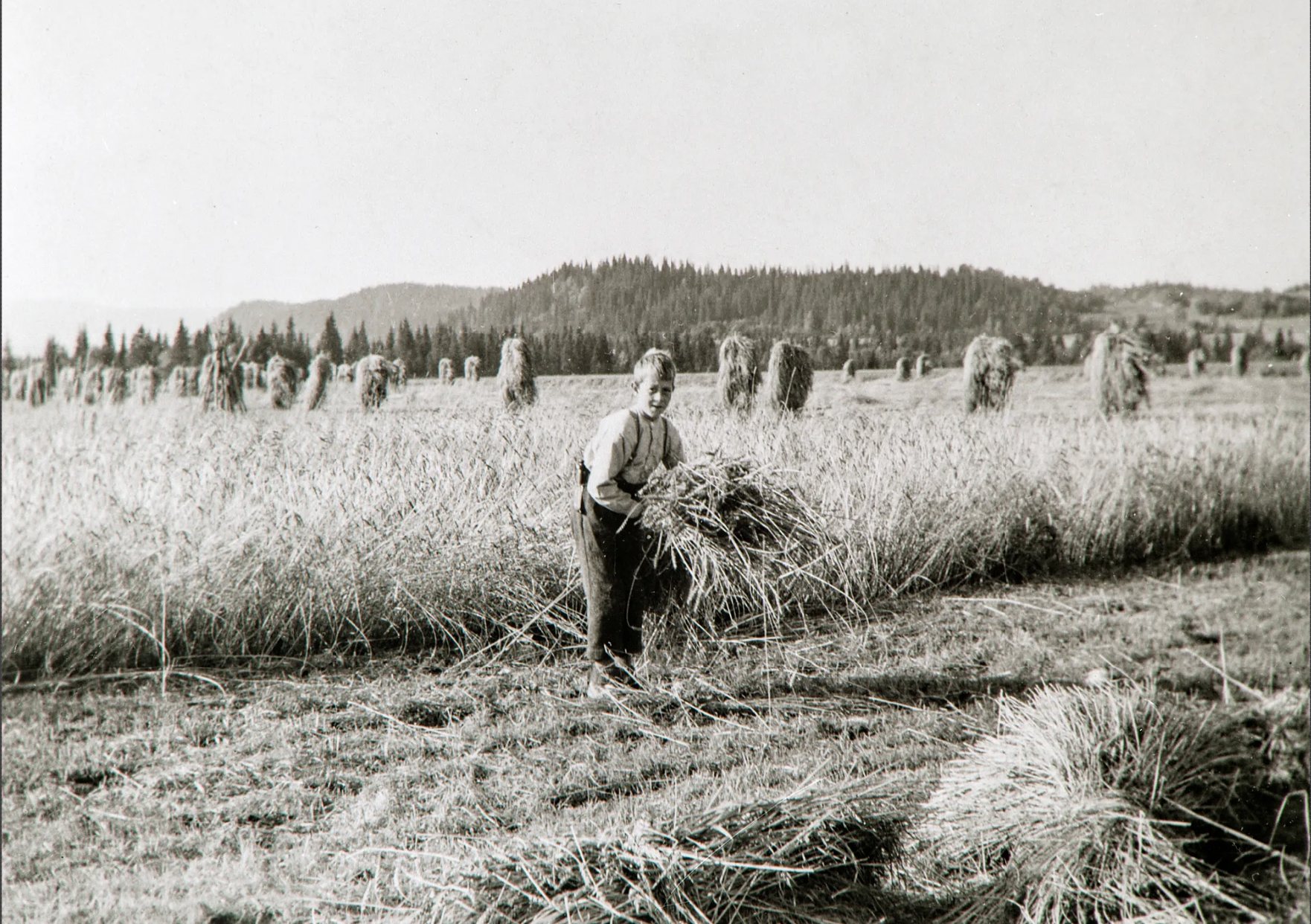 Boy with a sheaf of grain
