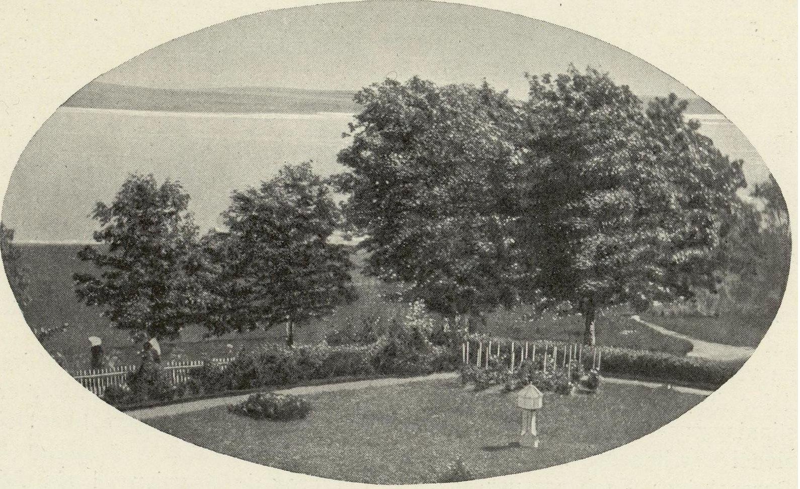 The garden with a view of Mjøsa