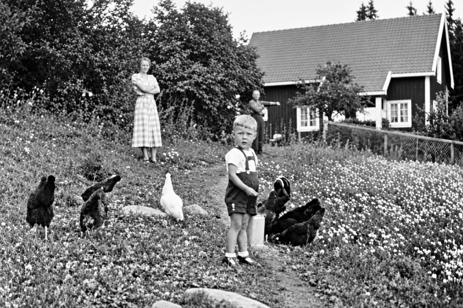Nordgrefsheim, with hens in the yard