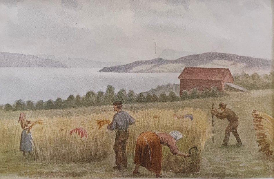 Maleri av folk som skjærer og binder korn med sigd og ljå på Grefsheim, med Mjøsa og en rød låve i bakgrunnen.