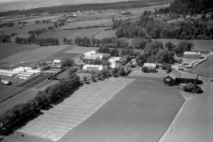 Flyfoto av Grefsheim før 1950, med Trøskelåven i forgrunnen til høyre, internatbygningen ovenfor og stabburet og drengestua sønnafor.