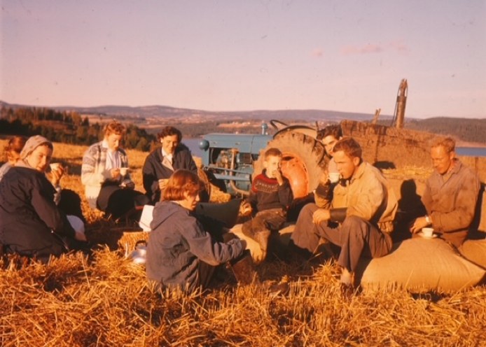 Åtte personer sitter i stubbåkeren med kaffe og boller foran en traktor med kornlass, Mjøsa i bakgrunnen.