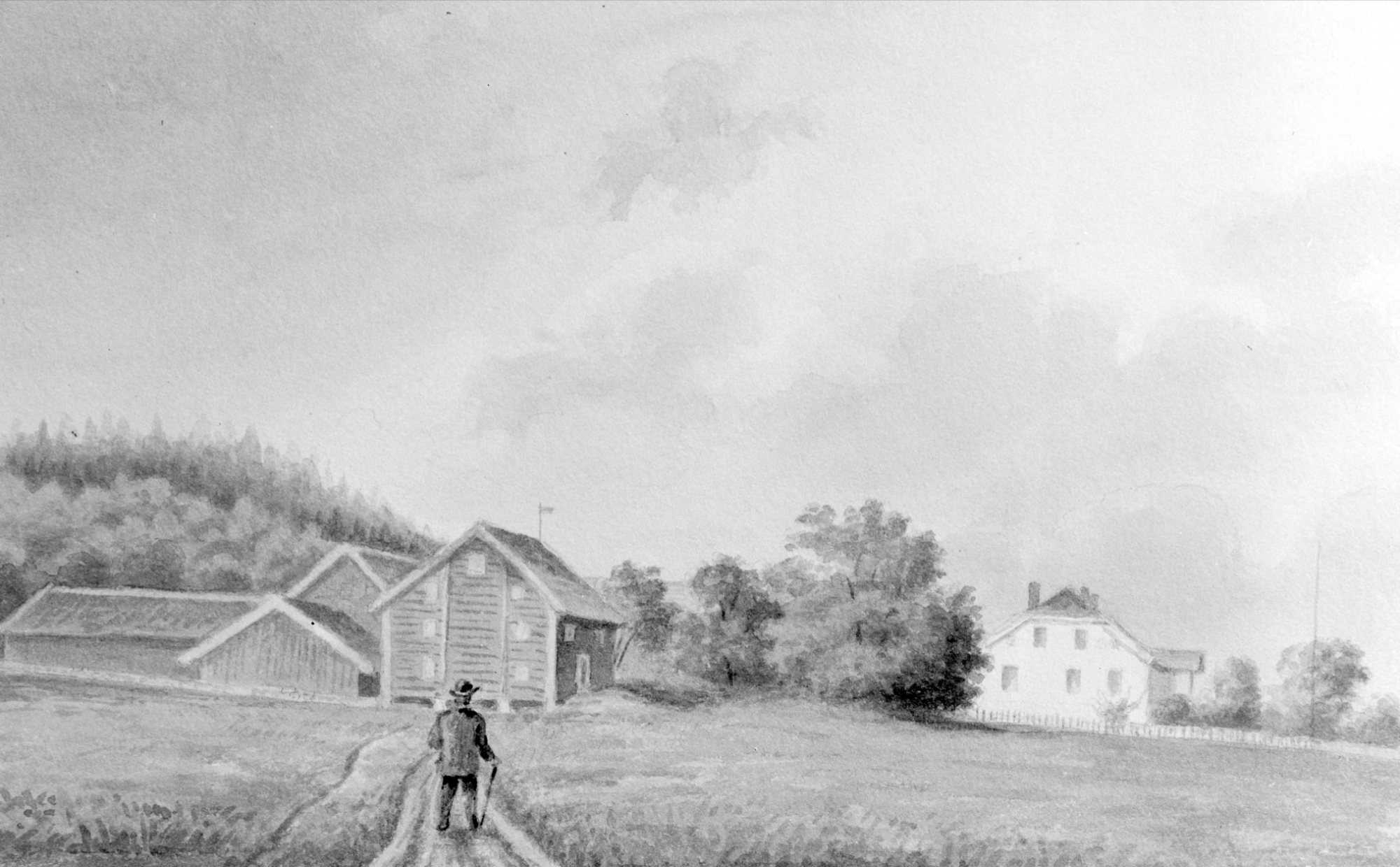 The road in towards the farm