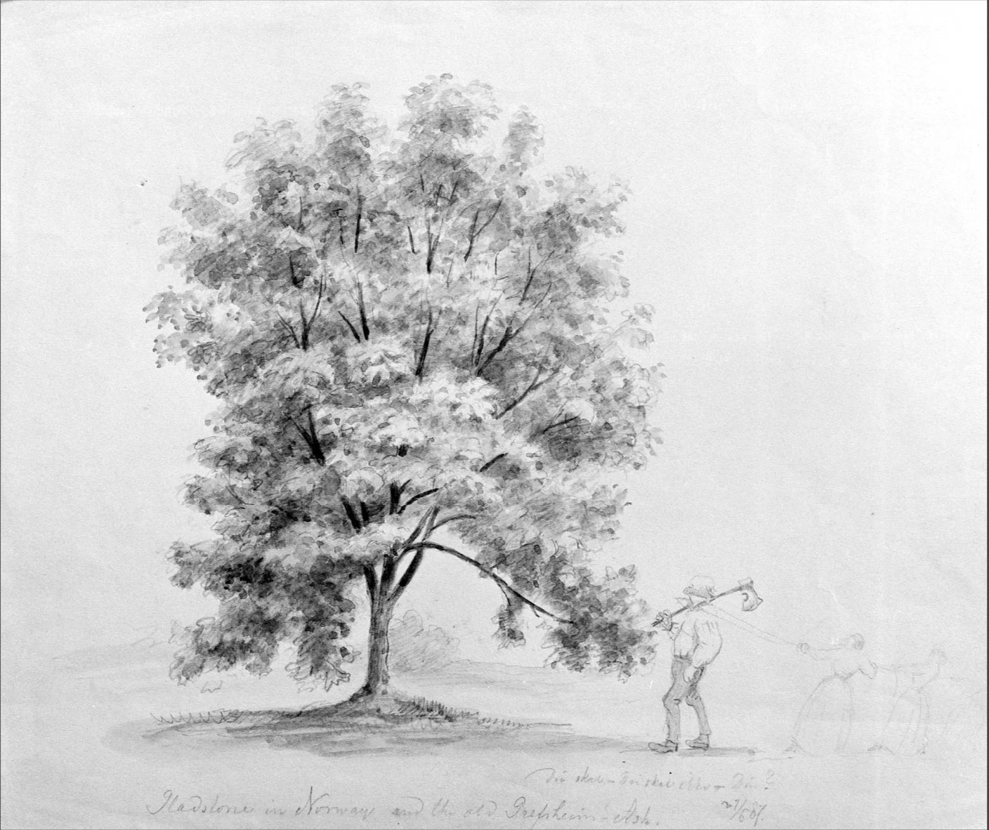 The old ash tree at Grefsheim