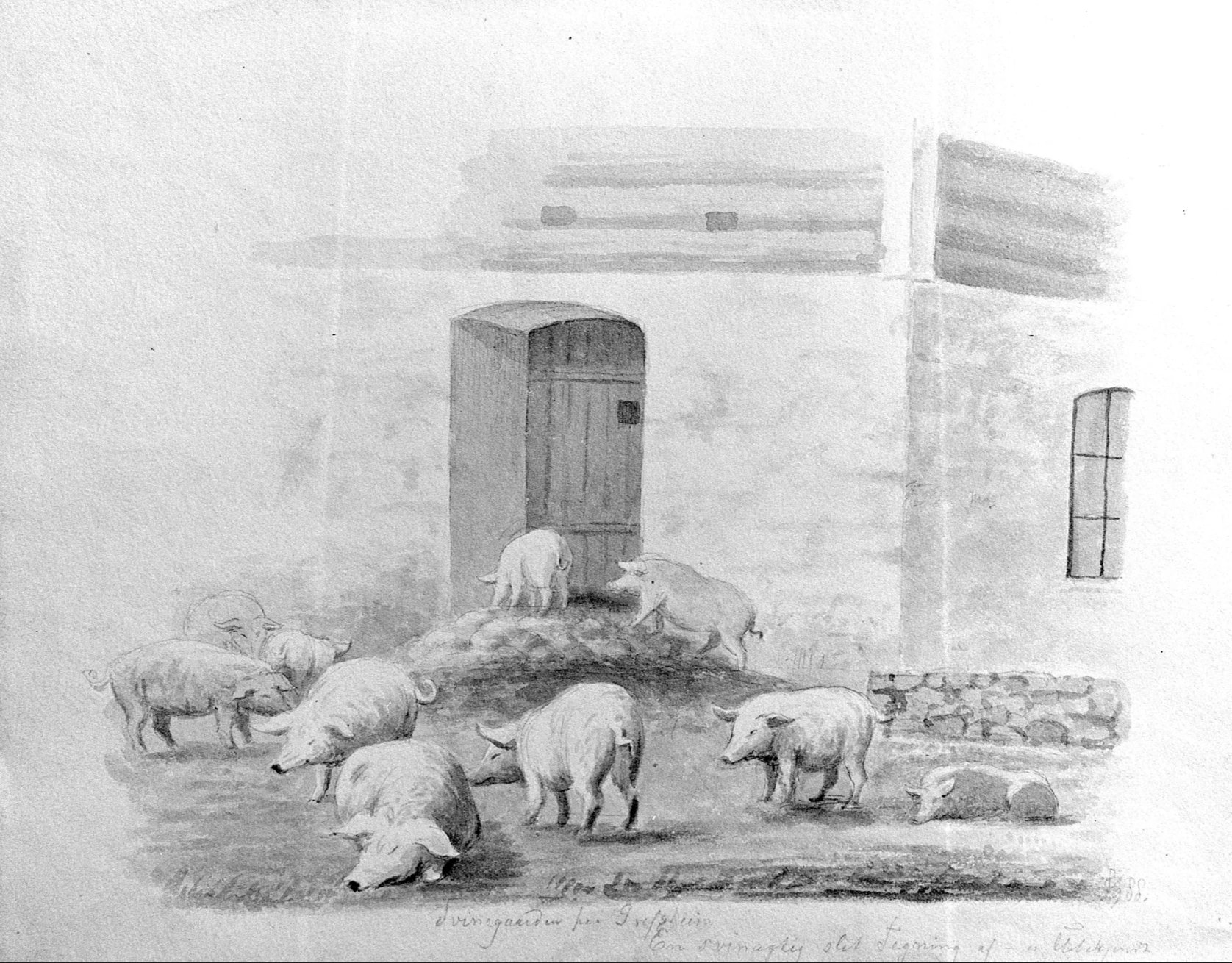 The pig yard at Grefsheim