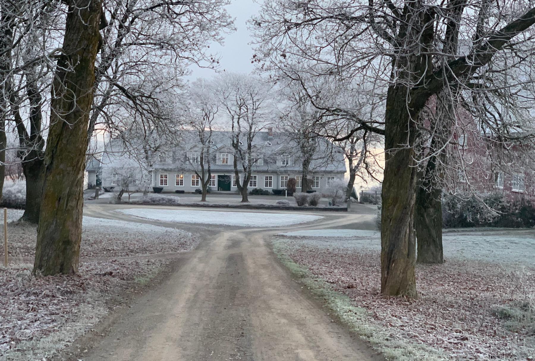The chestnut avenue down to the main house, hoar frost