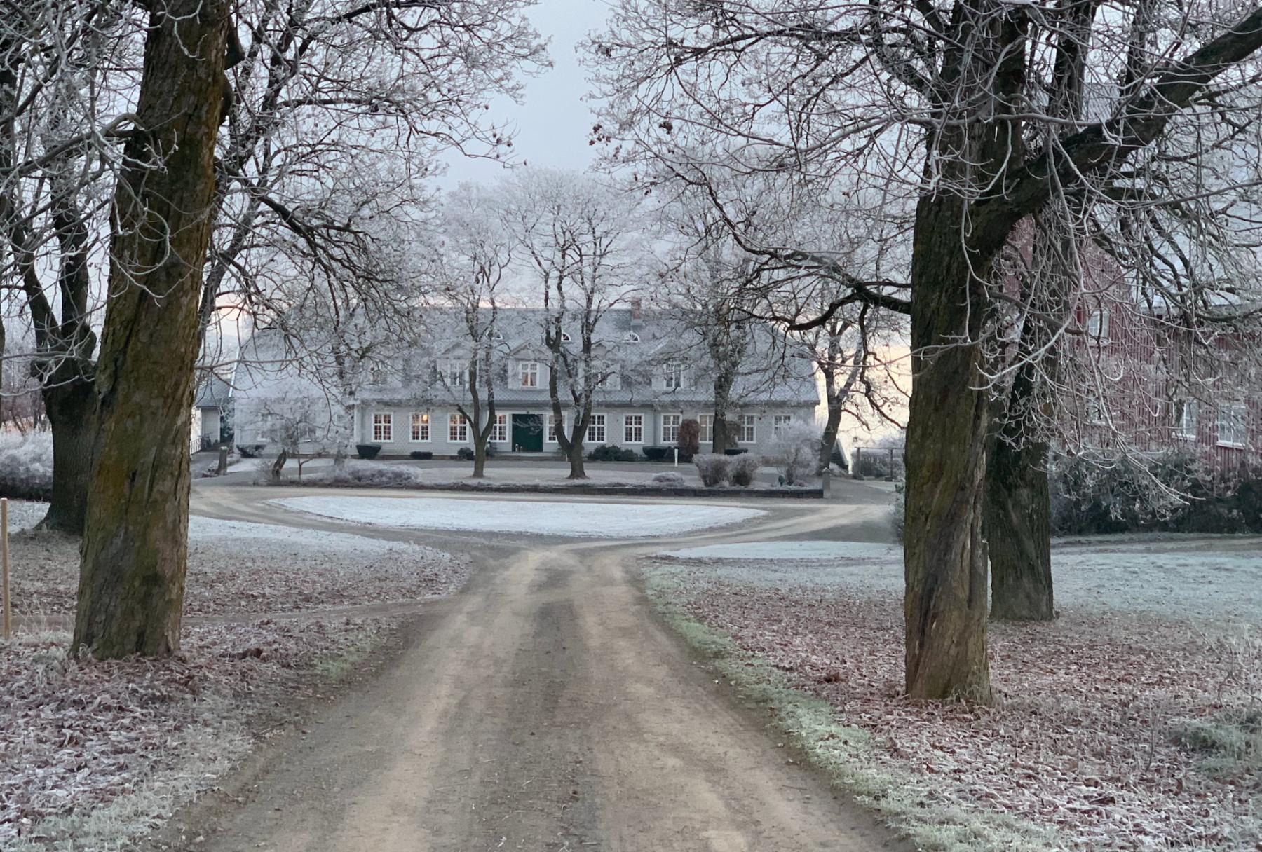 Kastanjealléen ned mot hovedbygningen en morgen med rimfrost