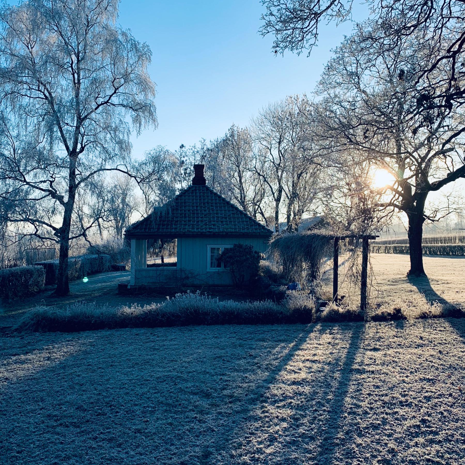 The playhouse in the garden, morning sun