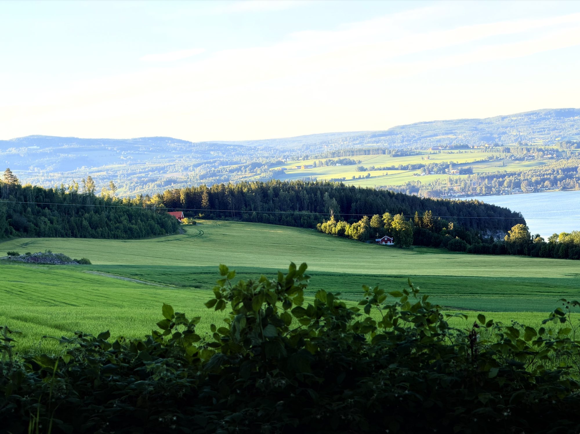 Jordene på Grefsheim ned mot Mjøsa